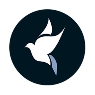Dovetail College Consulting logo, Amy Romm Lockard, admissions consultant