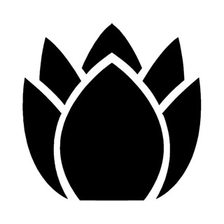 Life Coach Round Rock logo, Angela Hayes, life coach