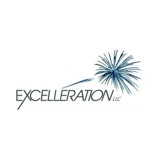 Excelleration Coaching logo, Anna Rappaport, career coach