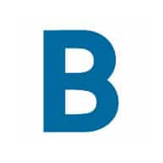 Bloom Partners logo, Chris Martinez, business coach