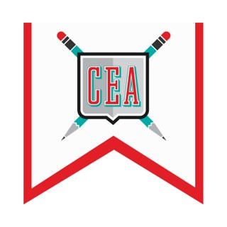 College Essay Advisors logo, College Essay Advisors, admissions consultant