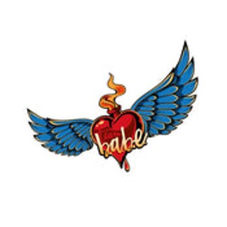 Coral Owen Team BABE Athletics logo, Coral Owen, fitness coach