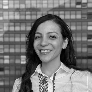 Diana N., career coach in New York