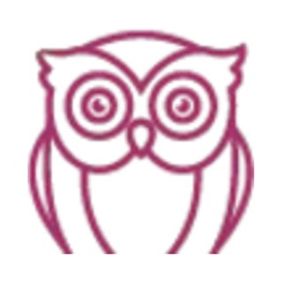Jennifer Alembik Wize Owl Coaching logo, Jennifer Alembik, life coach