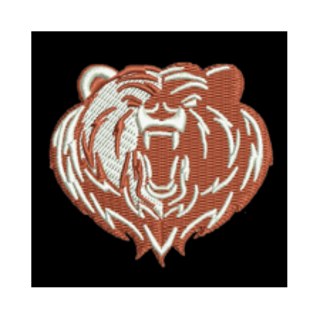 Jon Mallon Strength Forge Coaching logo, Jon Mallon, fitness coach