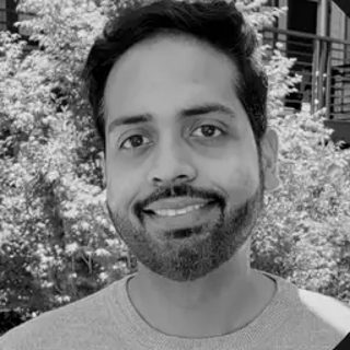Raj N., career coach