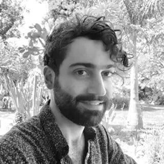 Shervin L., career coach