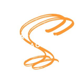 Shideh Shafie Performance Coaching logo, Shideh Shafie, performance coach